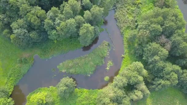 Luftaufnahme eines kleinen, kurvigen Flusses auf der grünen Wiese. — Stockvideo
