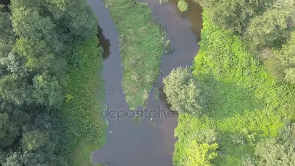 Повітряний постріл маленької, пишної річки на зеленому лузі . — стокове відео