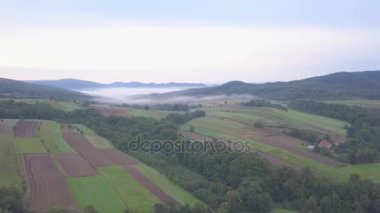 Woods, yeşil tepelerin ve çayırlar hava atış.