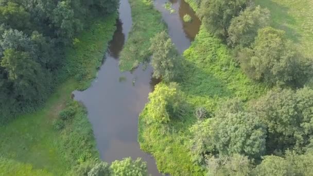 Luchtfoto van kleine, bochtige rivier op de groene weide. — Stockvideo