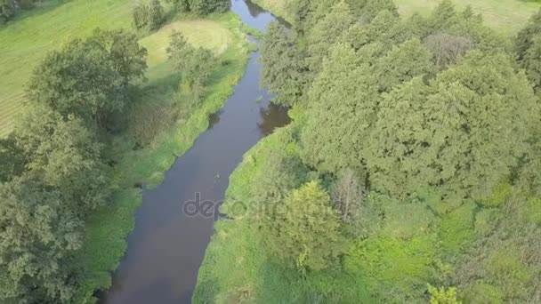 Luchtfoto van kleine, bochtige rivier op de groene weide. — Stockvideo