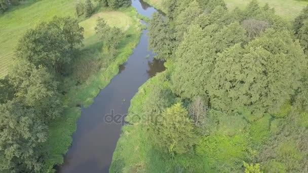 Tiro aéreo de pequeno, rio curvilíneo no prado verde . — Vídeo de Stock