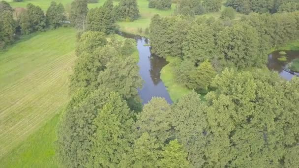 Zdjęcia lotnicze z małych, zakręt rzeki na zielony łąka. — Wideo stockowe