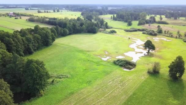 Luftaufnahme eines kleinen, kurvigen Flusses auf der grünen Wiese. — Stockvideo