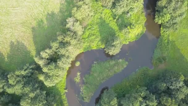 緑の草原に小さな、曲がりくねった川の空中ショット. — ストック動画