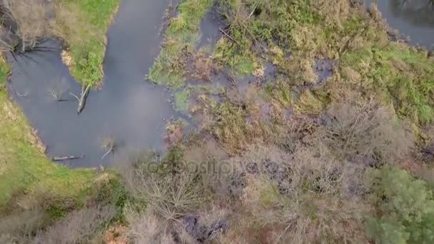 Luchtfoto beelden van bochtige rivier. — Stockvideo