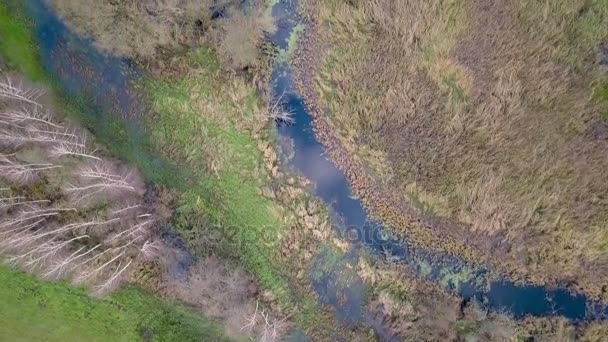 Повітряні кадри пишної річки . — стокове відео