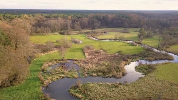 Rekaman udara dari sungai melengkung . — Stok Video