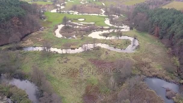 Aerial footage av kurviga floden. — Stockvideo