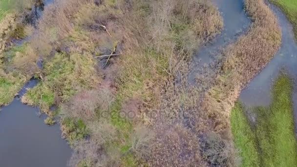 Luchtfoto beelden van bochtige rivier. — Stockvideo