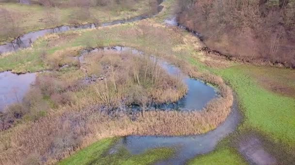 Images aériennes de la rivière sinueuse . — Video