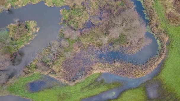 Imagens aéreas do rio curvilíneo . — Vídeo de Stock