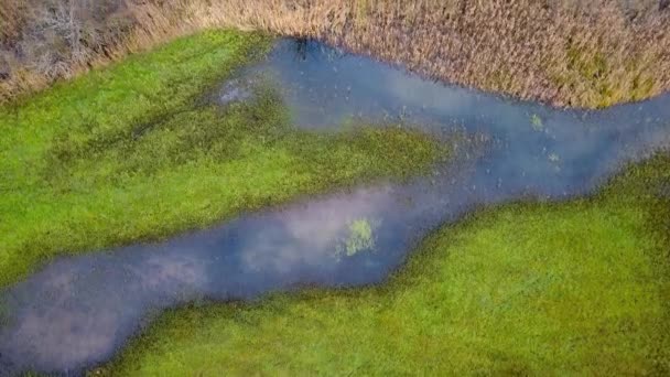 Luchtfoto beelden van bochtige rivier. — Stockvideo