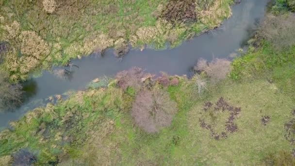 Luchtfoto beelden van bochtige rivier. — Stockvideo