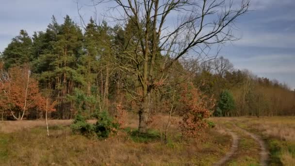 Flycam Aufnahme Auf Der Straße Ländliche Europäische Landschaft — Stockvideo