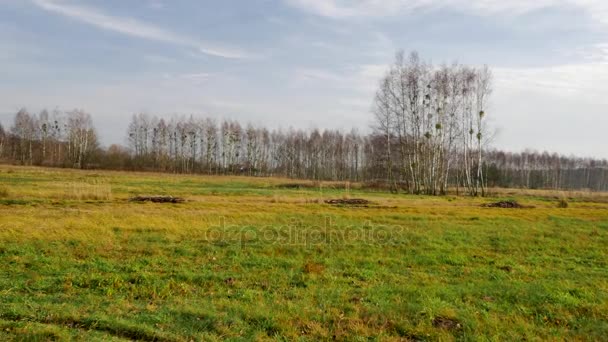 Flycam Zastřelil Silnici Evropská Krajina — Stock video