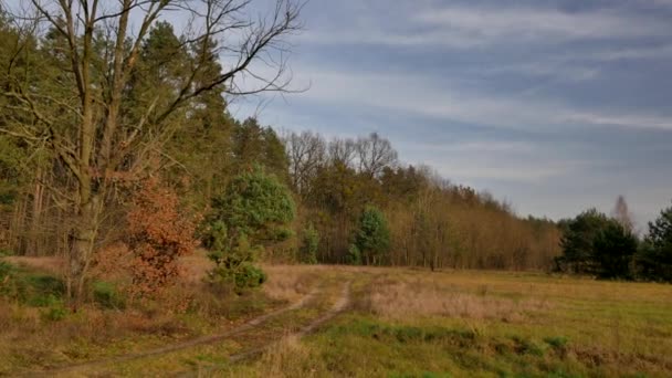 Flycam Tourné Sur Route Paysage Rural Européen — Video