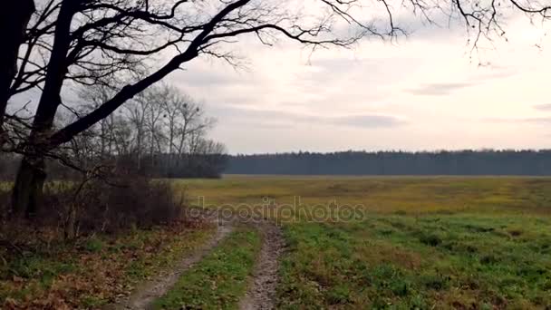 Флайкэм Снят Дороге Сельский Европейский Пейзаж — стоковое видео