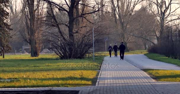 ワルシャワ ポーランド 12262018 認識できない人ワルシャワの公園で一緒に歩いて — ストック動画