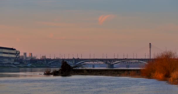 市内の川 ワルシャワの風景です 20172612 — ストック動画