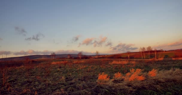 Schöne Wiese Warmen Herbstlichen Licht Ländliche Landschaft Bei Sonnenuntergang Sonnenaufgang — Stockvideo