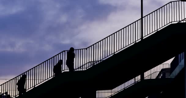Unerkennbare Personen Die Auf Der Treppe Gehen — Stockvideo