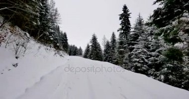 Bakış açısı shot kırsal yolda binmek karla kaplı.