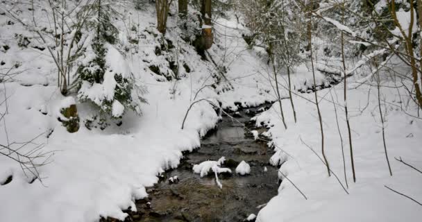 完全に雪に覆われた森の中の小さな川 — ストック動画