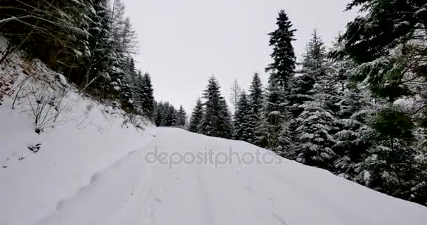 Oogpunt Schot Van Rit Landelijke Weg Bedekt Met Sneeuw — Stockvideo