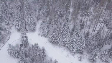 Orman hava atış karla kaplı. Kış manzara Hills karla kaplı.