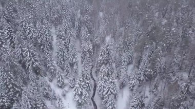 Orman hava atış karla kaplı. Kış manzara Hills karla kaplı.