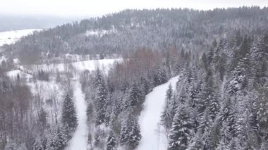 Orman hava atış karla kaplı. Kış manzara Hills karla kaplı.