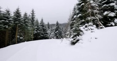 Bakış açısı shot kırsal yolda binmek karla kaplı.