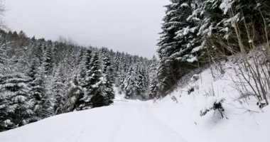 Bakış açısı shot kırsal yolda binmek karla kaplı.