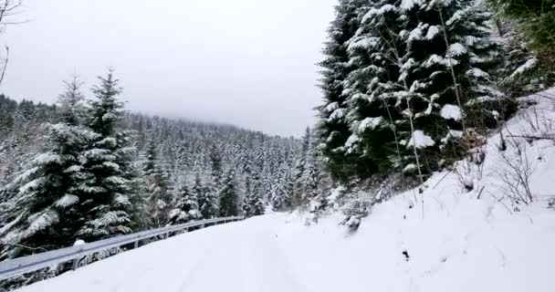 Aussichtsaufnahme Der Fahrt Auf Der Schneebedeckten Landstraße — Stockvideo