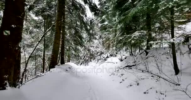 在积雪覆盖的乡间小路上的骑马镜头 — 图库视频影像