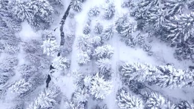 Orman hava atış karla kaplı. Kış manzara Hills karla kaplı.