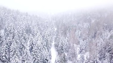 Orman hava atış karla kaplı. Kış manzara Hills karla kaplı.