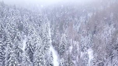 Orman hava atış karla kaplı. Kış manzara Hills karla kaplı.