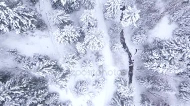 Orman hava atış karla kaplı. Kış manzara Hills karla kaplı.
