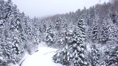 Orman hava atış karla kaplı. Kış manzara Hills karla kaplı.