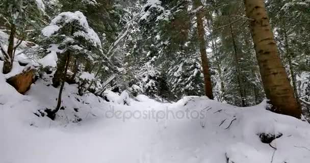 Oogpunt Schot Van Rit Landelijke Weg Bedekt Met Sneeuw — Stockvideo