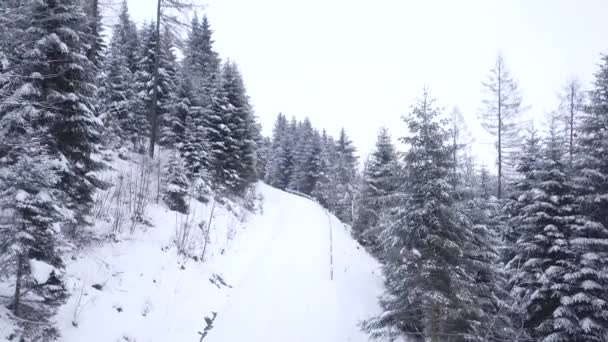 Oogpunt Schot Van Rit Landelijke Weg Bedekt Met Sneeuw — Stockvideo