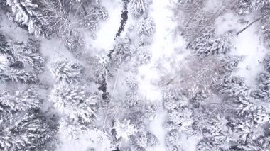 Orman hava atış karla kaplı. Kış manzara Hills karla kaplı.