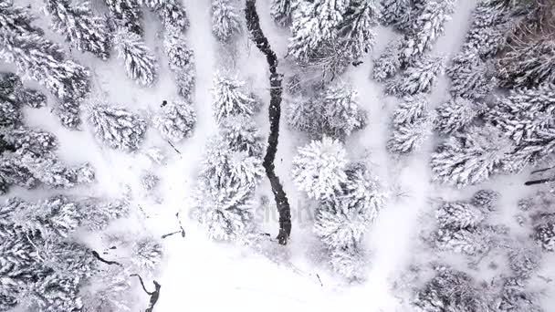 Tiro Aéreo Floresta Coberta Neve Paisagem Inverno Colinas Cobertas Neve — Vídeo de Stock