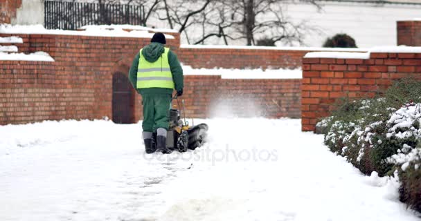 Person Removing Snow Sidewalk — Stock Video
