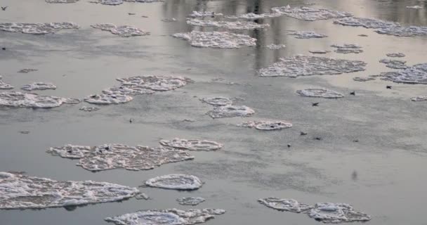 ワルシャワ ポーランド 冬のヴィスワ川に川が覆われて — ストック動画