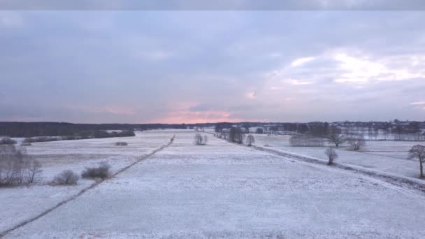 ワルシャワ郊外 ポーランド 02242018 上から見ると雪に覆われたフィールド — ストック動画