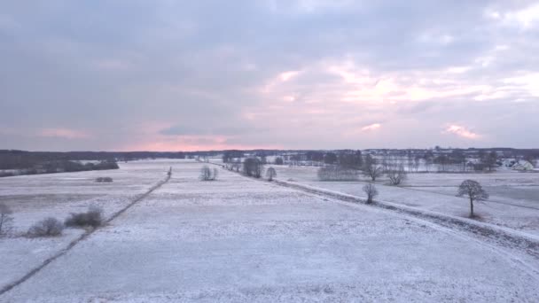 Campagne Près Varsovie Pologne Date 02242018 Champs Couverts Neige Vus — Video