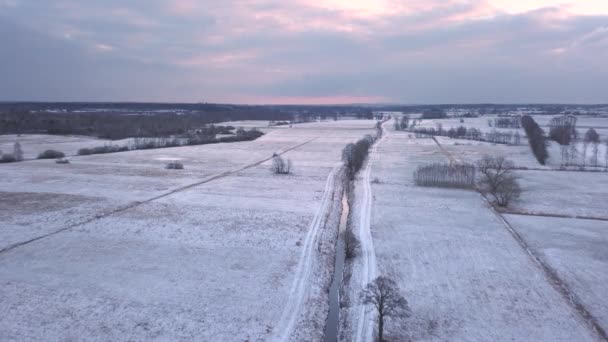 Campagne Près Varsovie Pologne Date 02242018 Champs Couverts Neige Vus — Video